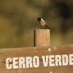 Cerro Membrío