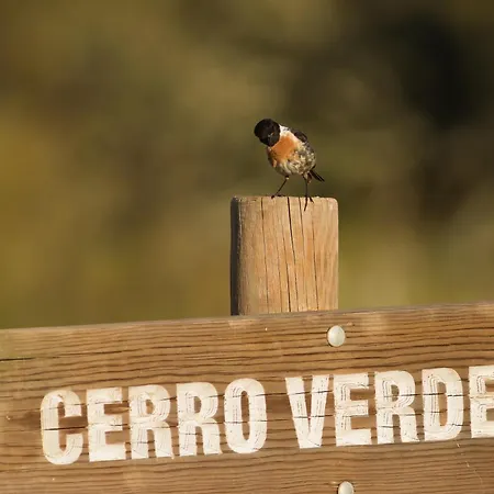 Cerro Membrio
