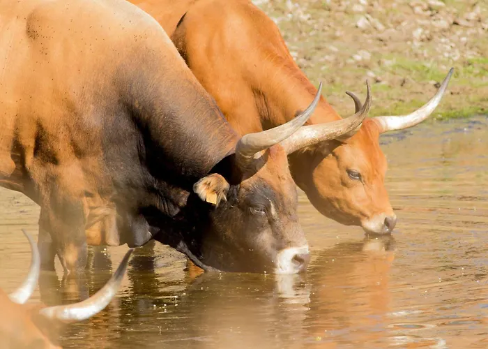 Cerro Villa Membrío